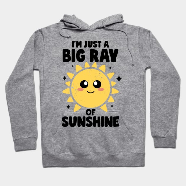 I'm Just A Big Ray Of Sunshine Kindness Irony And Sarcasm Hoodie by MerchBeastStudio